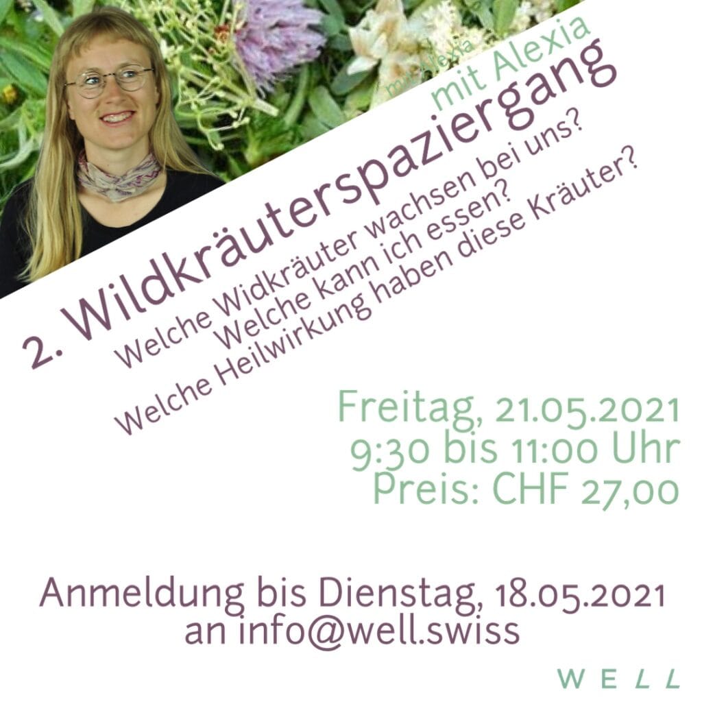 Wildkräuterspaziergang Wildkräuterspaziergang