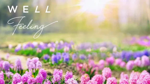 Frühlings Newsletter 25