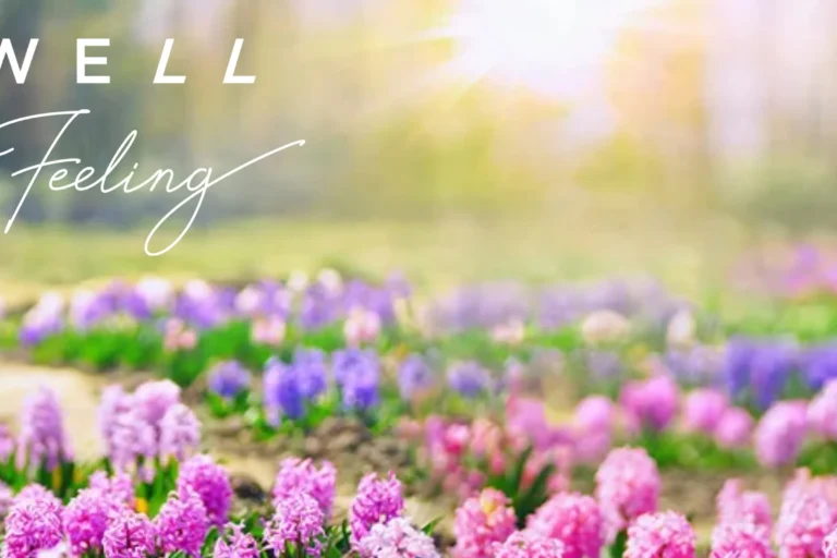 Frühlings Newsletter 25