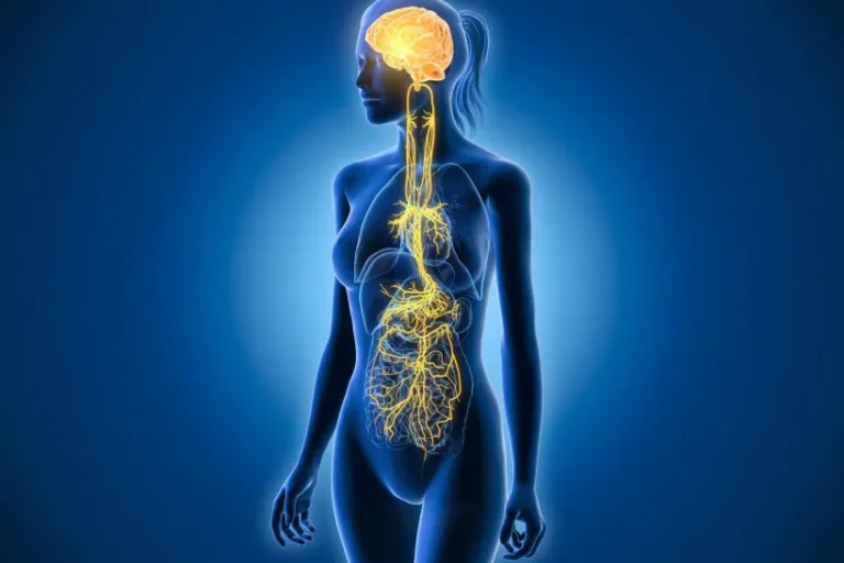 Vortrag NervenSystem